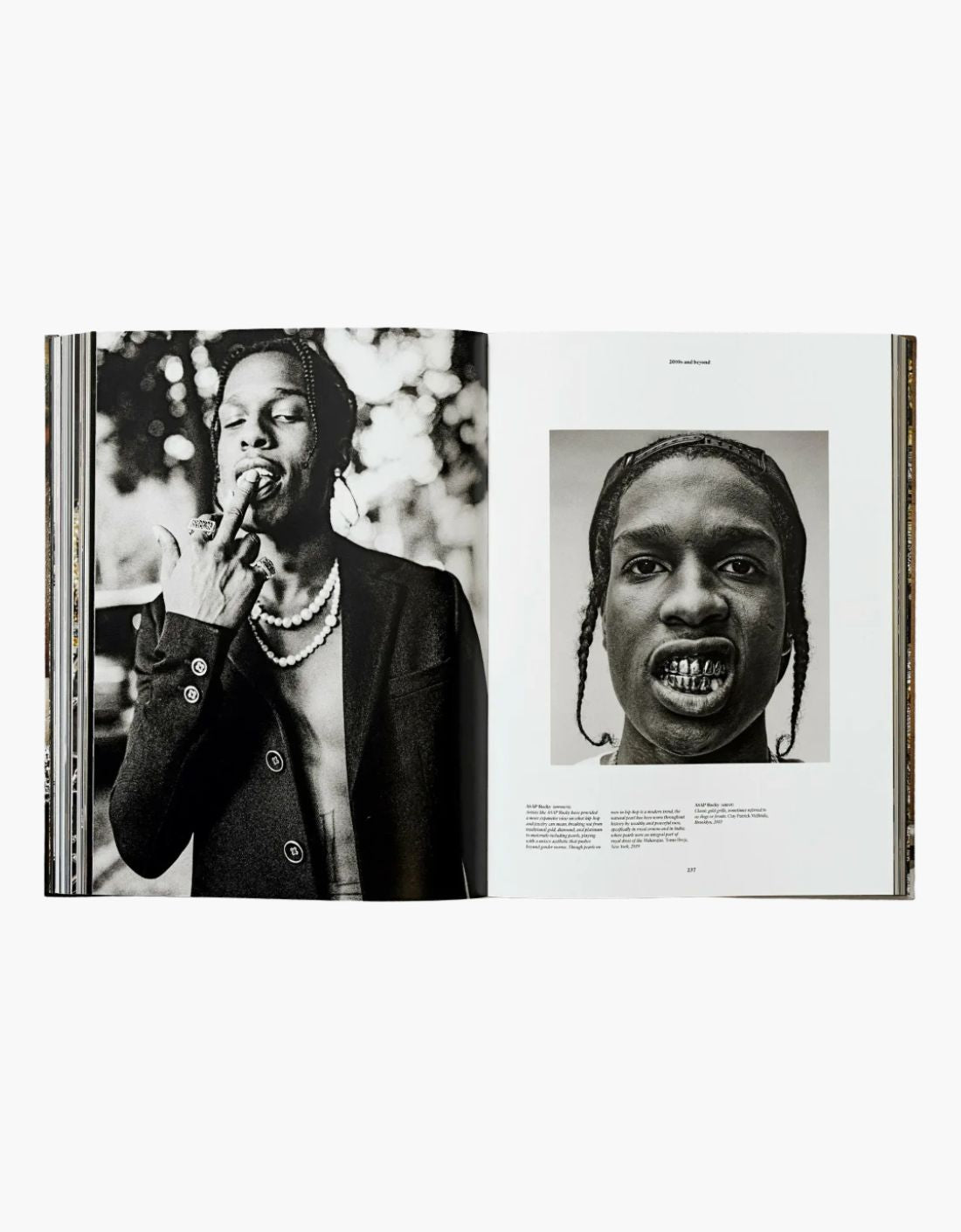 Libro - Ice Cold. A Hip-Hop Jewelry History