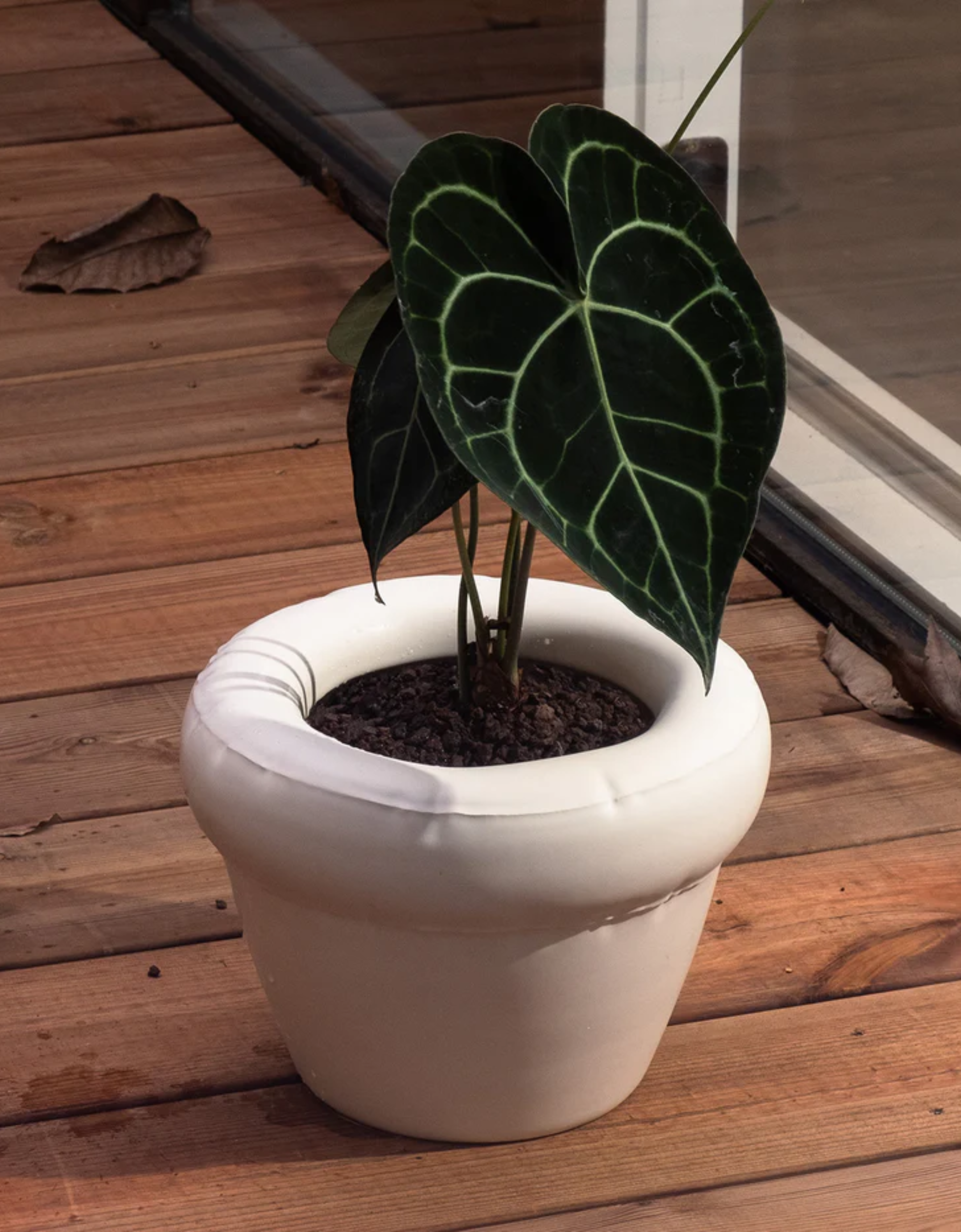 Maceta Matte 'Pierre”