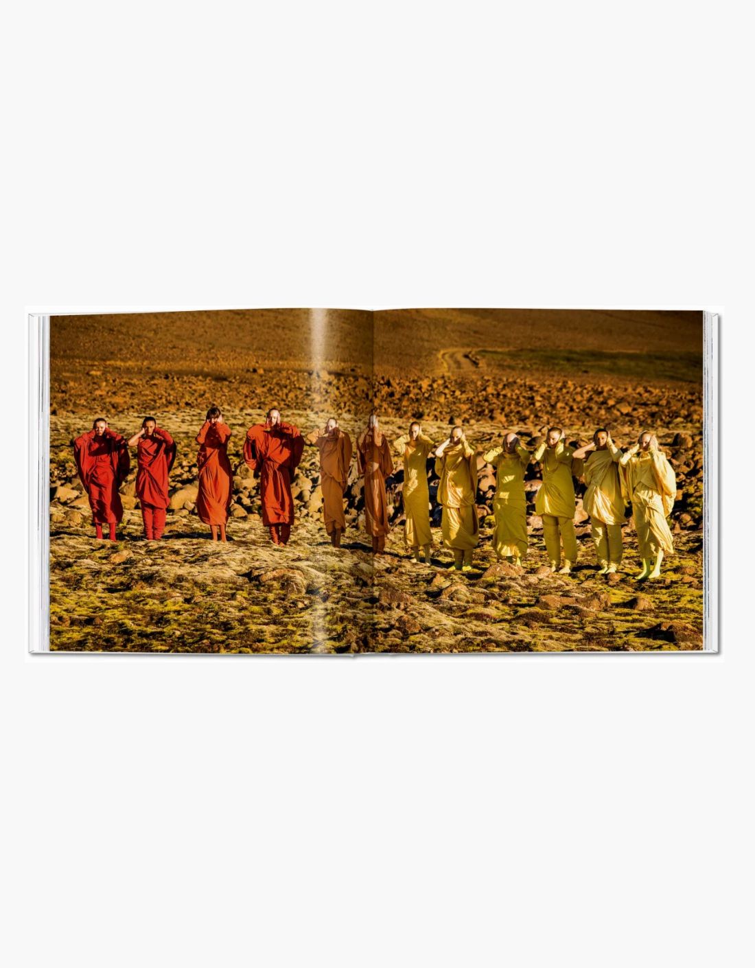 Libro - Issey Miyake – vista 9