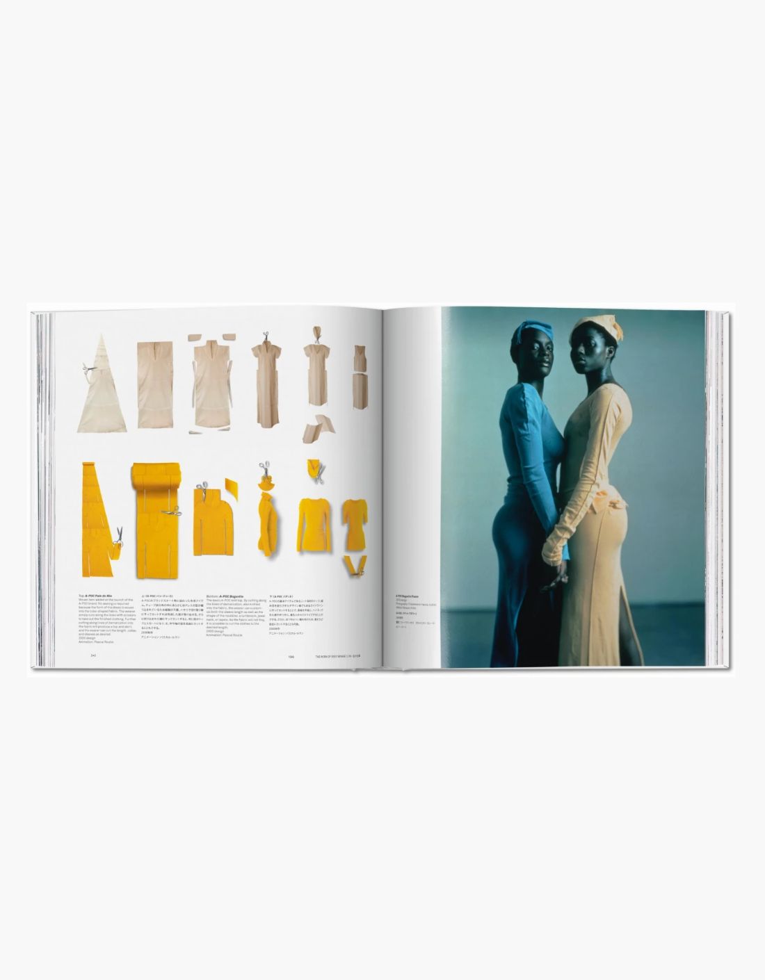 Libro - Issey Miyake