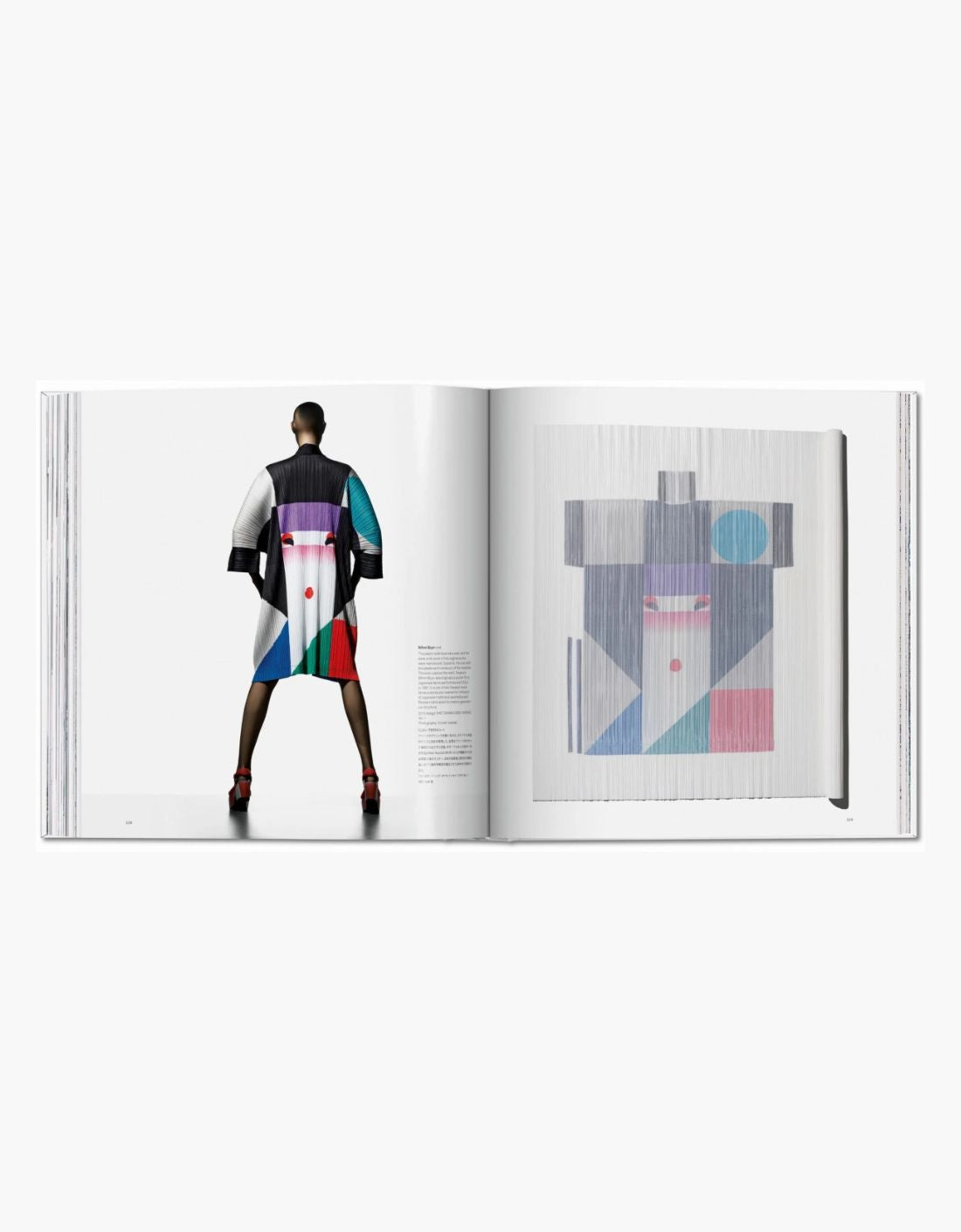 Libro - Issey Miyake