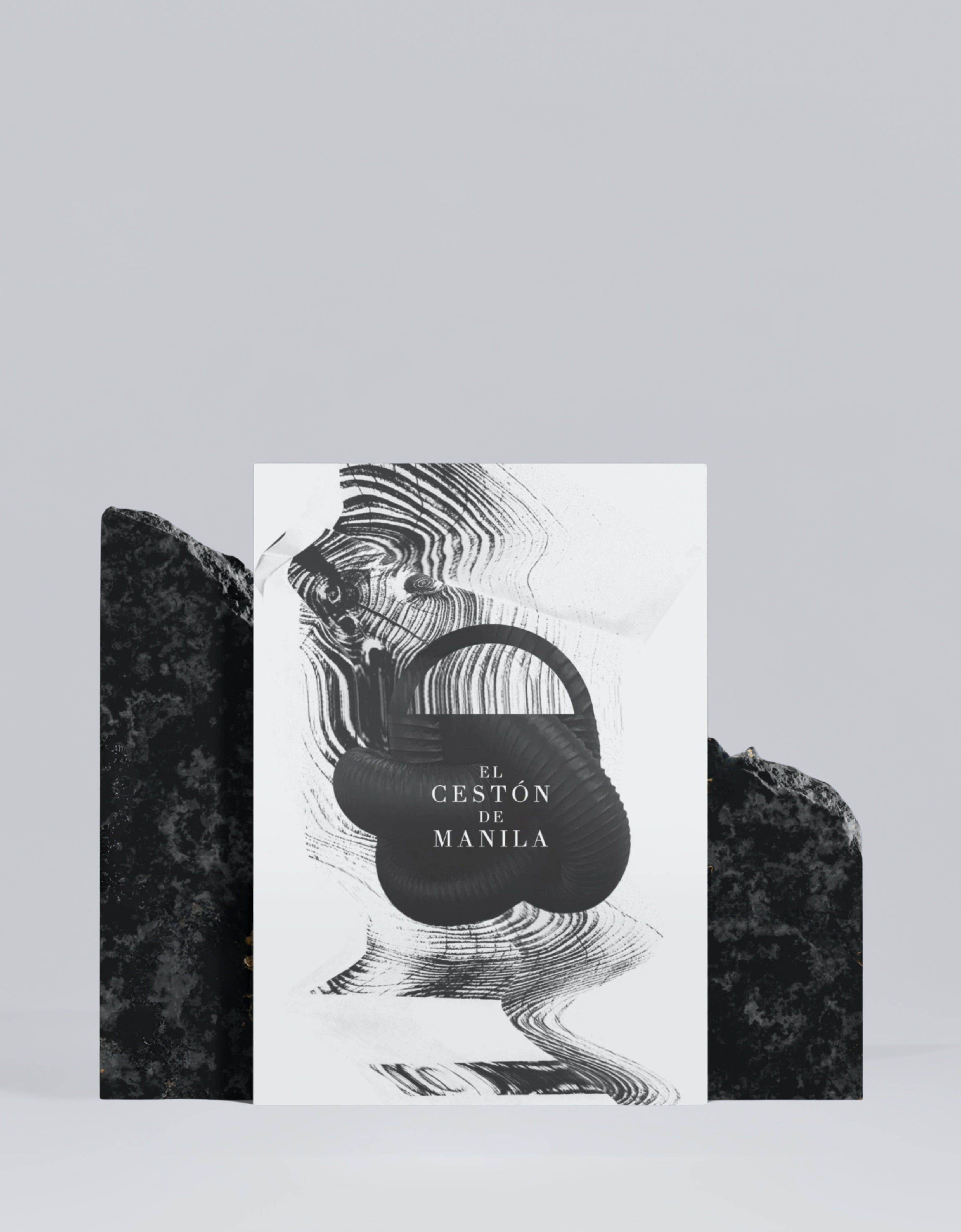 BOLETOS CESTÓN - 2026 (Tramo 11)