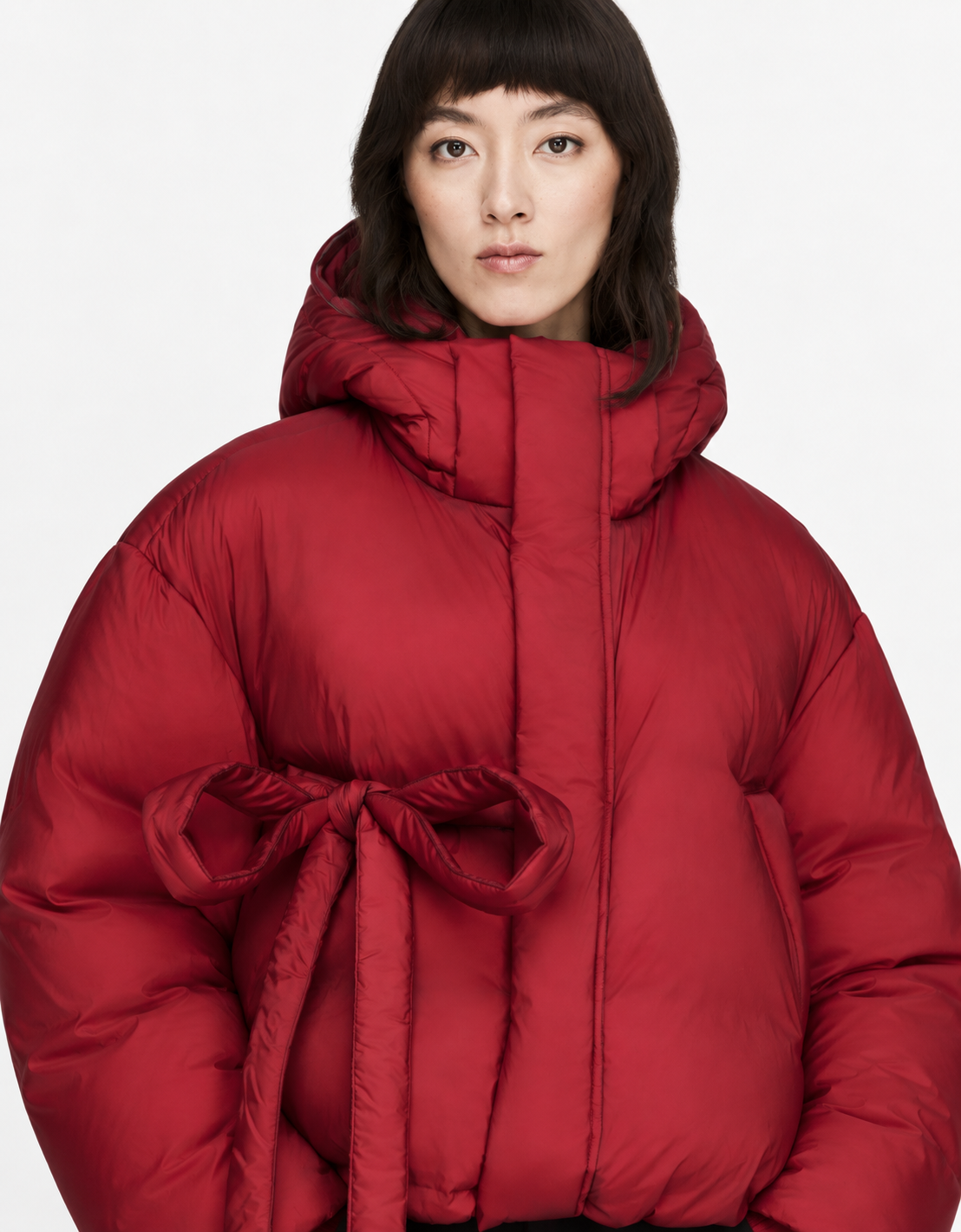 Chaqueta plumífero "Hooded Puffer"