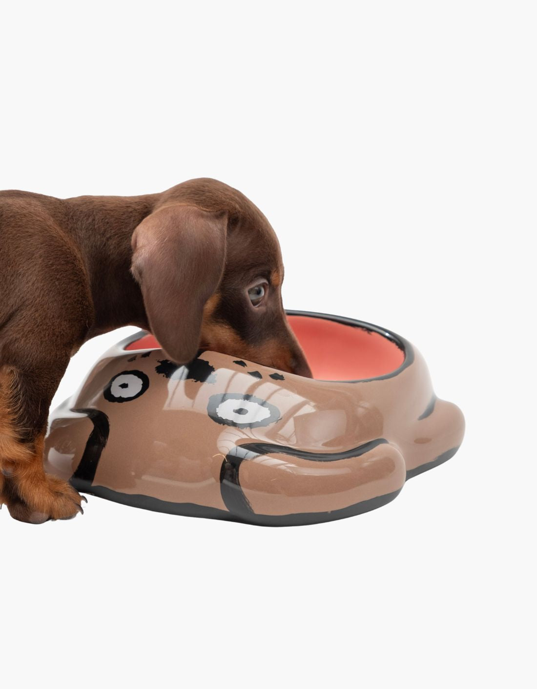 Bowl para mascotas - GATO / PERRO